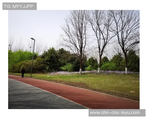 奥森南园足球场周边景点与活动推荐助你畅享足球之旅